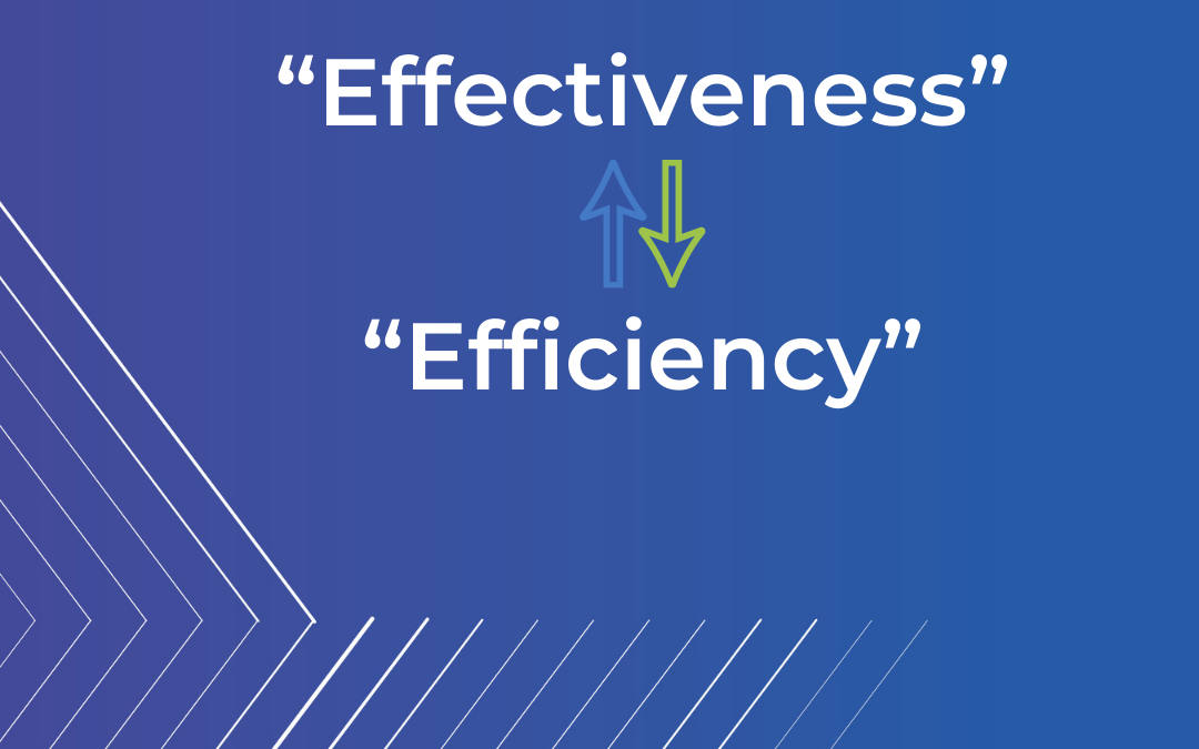 “Effectiveness” e “Efficiency”