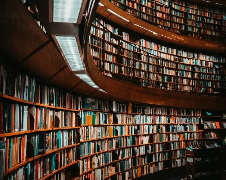 The library is a place that connects a place of action